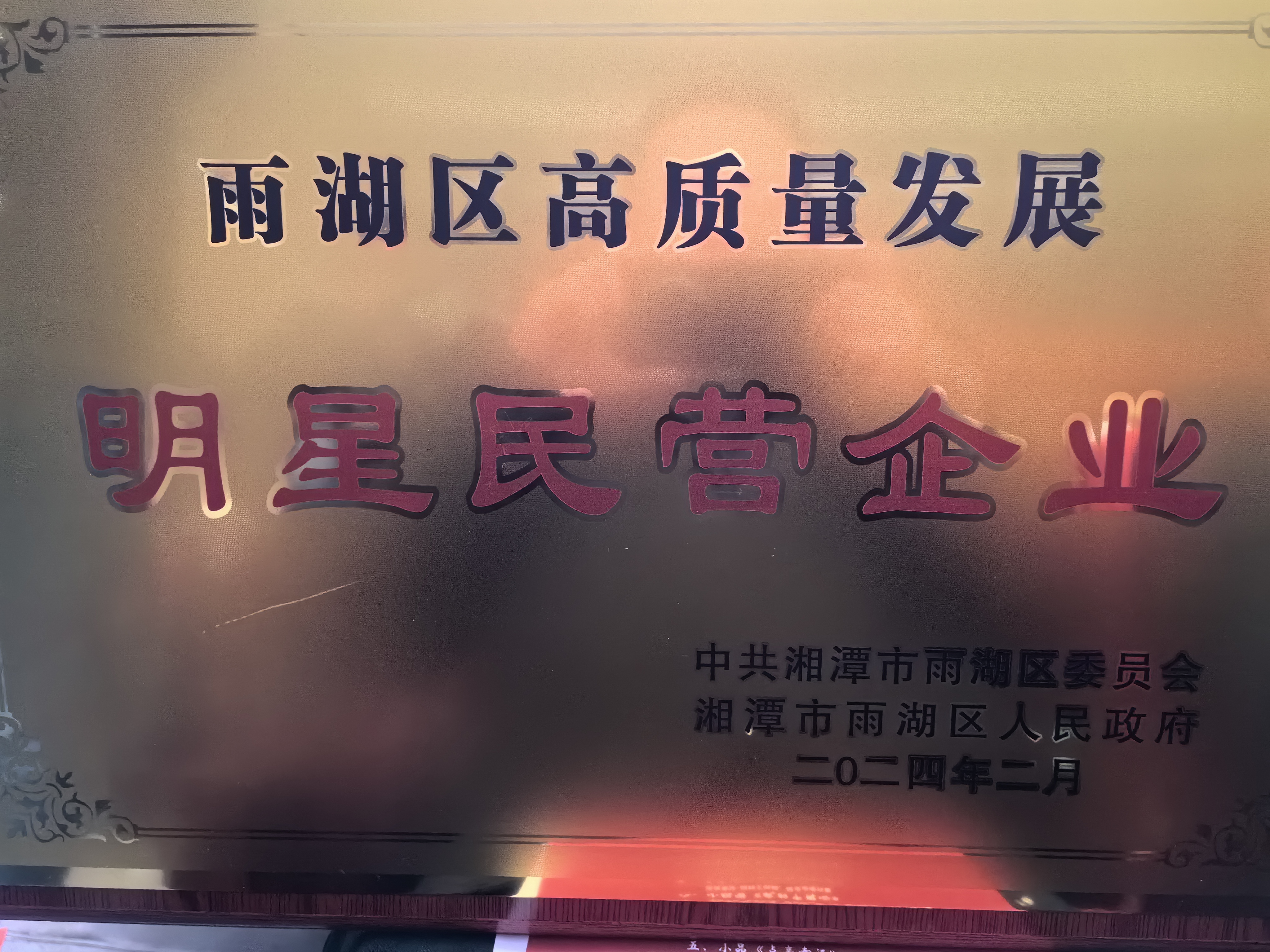 PG电子官方荣获“雨湖区高质量发展明星民营企业”称号